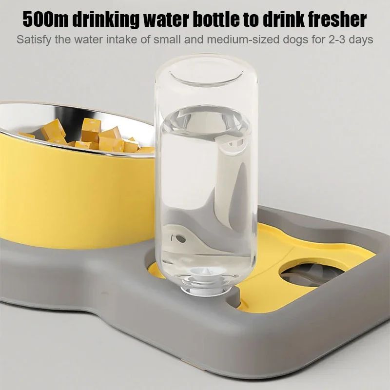 Pet Feeder Bowls Water Bottle Set And Drinkers