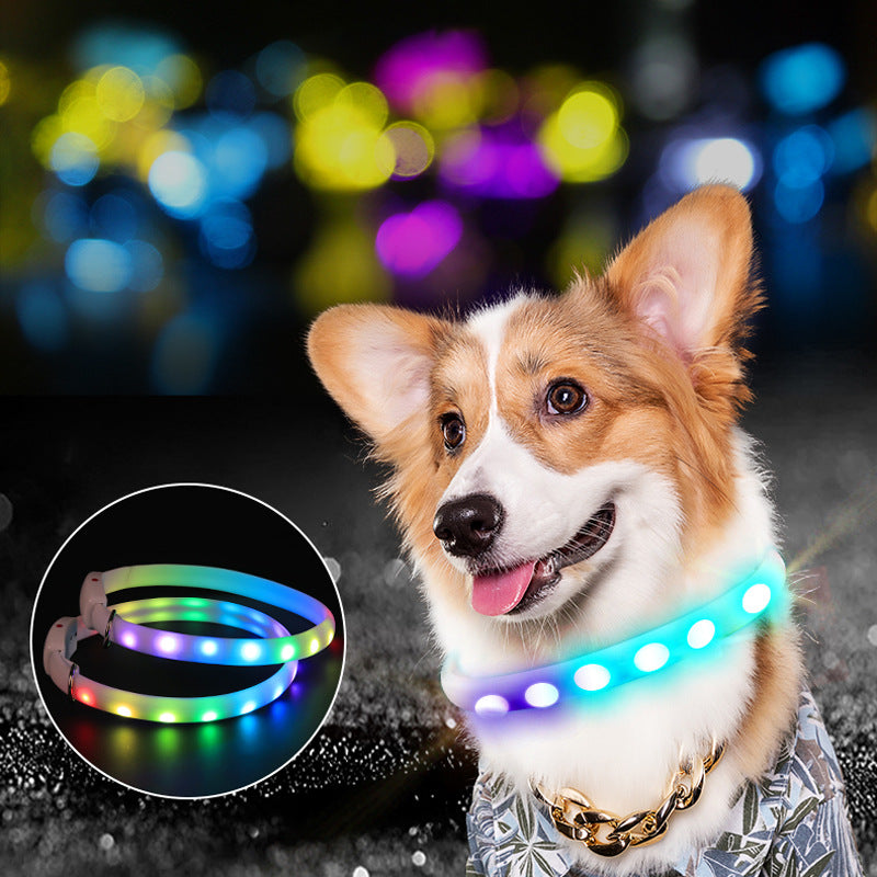 USB Rechargeable Pet Dog LED Glowing Collar Pet Luminous Flashing Necklace