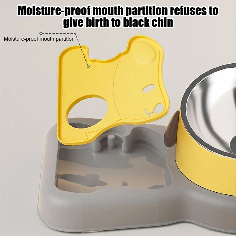 Pet Feeder Bowls Water Bottle Set And Drinkers