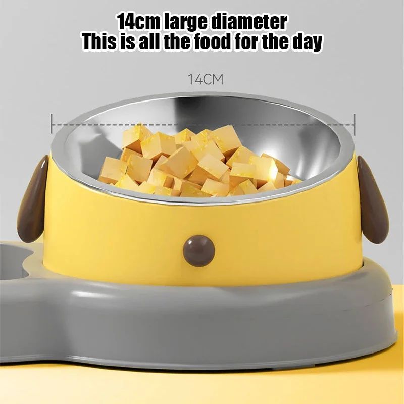 Pet Feeder Bowls Water Bottle Set And Drinkers